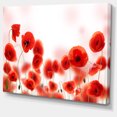thumbnail image 2 of Poppy Flowers on Pink Background - Floral Canvas Art Print, 2 of 3