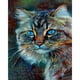 thumbnail image 2 of Cuadros Decorativos Lindo gatito pintura al óleo por números pintado a mano cuadro sin marco adorno para el hogar Tmvgtek embutido en tela, 2 of 9