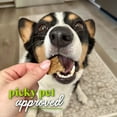 thumbnail image 2 of Honest to Goodness Protein Bites Salmon & Apple Recipe Soft Jerky Chews for Dogs, 5.5 oz., 2 of 8