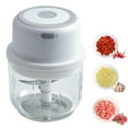 thumbnail image 2 of Electric Garlic Chopper Portable Small Food Processor, 300ML Glass Containers with Food Divider, Waterproof Body, One-touch Press to Chop Onion For Ginger, Chili, Fruit, Meat, Spices, Beans, 2 of 5