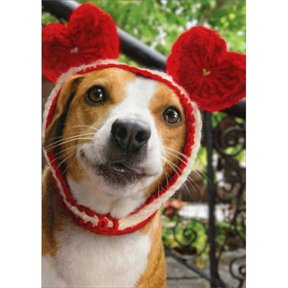 Avanti Press Dog With Heart Cap Funny Valentine's Day Card