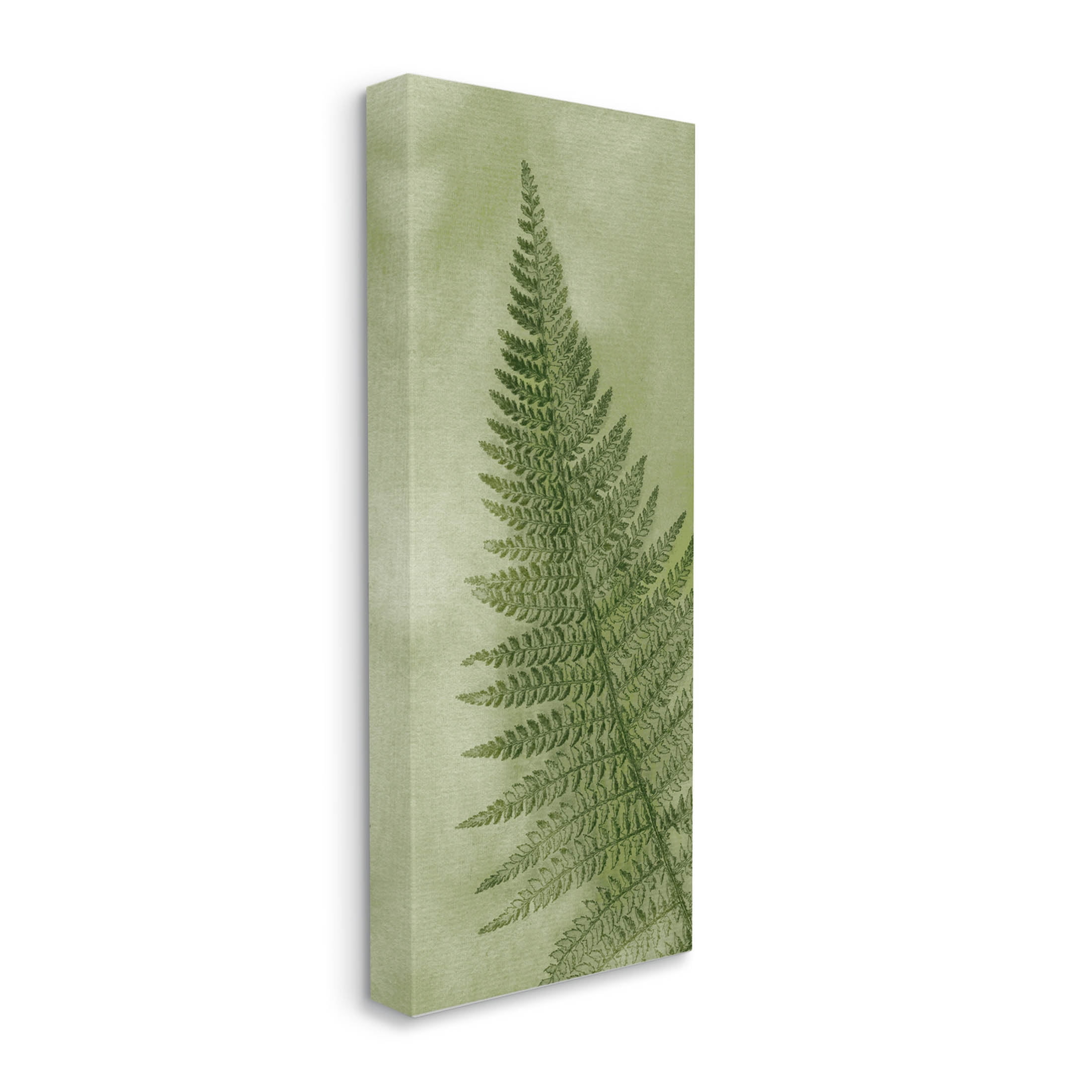Detailed Green Fern Leaf Botanical & Floral Graphic Art Gallery Wrapped Canvas Print Wall Art