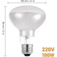 thumbnail image 2 of Reptile Heating Bulb, 2 Pack 100W Basking Heat Lamp for Reptiles, E27 White Infrared Heat Bulbs, 220V, 2 of 5
