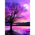 thumbnail image 1 of Taladro Diamante Pintura (DE0526) 5D DIY Punto de Cruz Completo Bordado Decoración (W300) 40x50cm Hugtrwg Para estrenar, 1 of 1