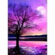 thumbnail image 1 of Taladro Diamante Pintura (DE0526) 5D DIY Punto de Cruz Completo Bordado Decoración (W300) 40x50cm FLhrweasw Nuevo, 1 of 1