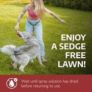 Sedgehammer Plus Turf Herbicide, 13.5g with Halosulfuron-methyl Formula