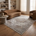 thumbnail image 4 of Rug Branch Sakarya Collection Oriental Distressed Indoor Area Rug, 4 of 8