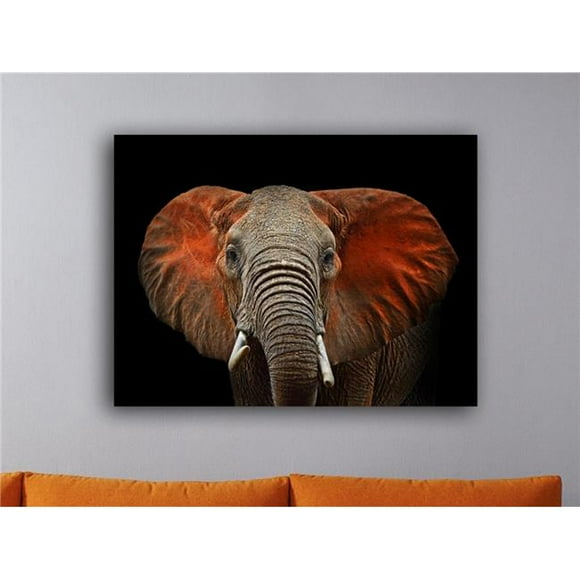Artful Printers C-20301915 Éléphant Africain Photographie Toile Art&44; 20 x 30 Po.