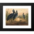 thumbnail image 2 of Joseph Wolf 18x14 Black Modern Framed Museum Art Print Titled - The Shoe Bill (1861-1867), 2 of 5