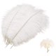thumbnail image 2 of 10 piezas de plumas de avestruz naturales, para la decoración de la mesa del banquete de boda kaili Sencillez, 2 of 4