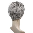 thumbnail image 3 of Perruques Courtes Bouclées de Haute Qualité pour Femmes, Perruque Ondulée Synthétique Sans Capuchon (48T Gris Pâle avec Racine Foncée) 48T Gris Pâle avec Racine Foncée - Convient à une Variété d'Exigences de Jardinage, 3 of 4