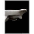 thumbnail image 3 of Set 4 Bakeware White Porcelain Snail Dish Mushroom Plate Escargot Dishes Plates, 3 of 3