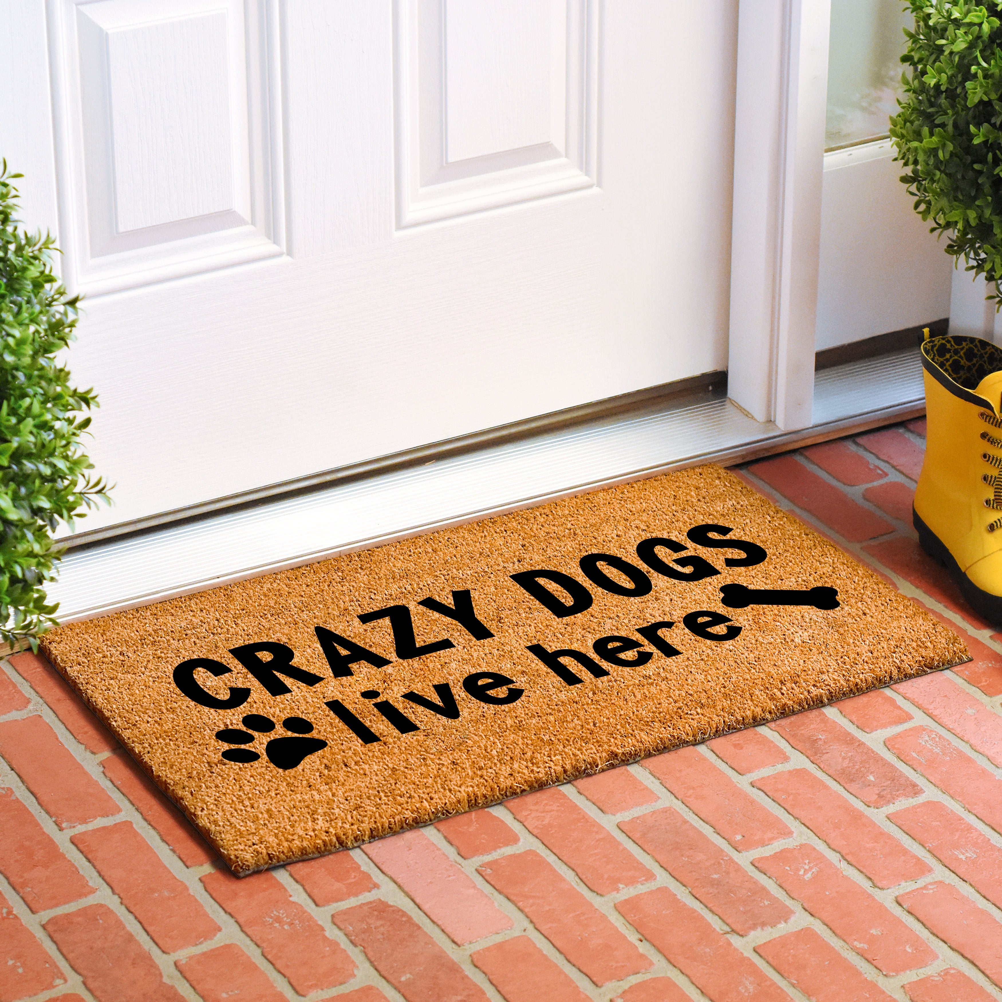 Calloway Mills Crazy Dogs Live Here Doormat, 24" x 36"