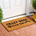 thumbnail image 2 of Calloway Mills 108781729 17 x 29 in. Crazy Dogs Live Here Rectangle Doormat, Multi Color, 2 of 2