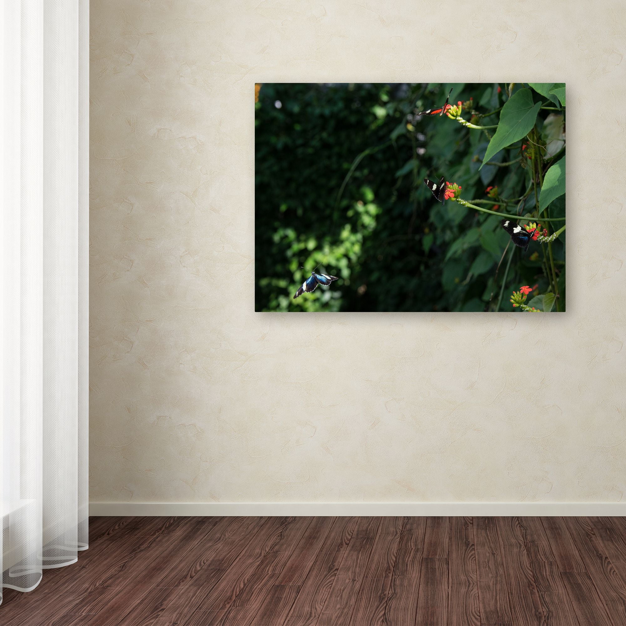 Trademark Fine Art "Butterflies" Canvas Art by Kurt Shaffer