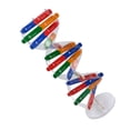 thumbnail image 4 of KAKOWELY 1 Set Double Helix Model Assorted Color Paper For Physical Therapy Training In Middle School,3.78"X3.78"X12.99", 4 of 4