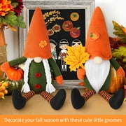 Ayieyill 2 Pack Fall Gnomes Handmade Thanksgiving Gnomes Plush Swedish Gnomes Fall Ornaments with Pumpkin Maple Leaves, Fall Decor Holiday Table Decorations Gifts