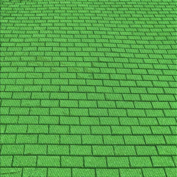 Ahgly Company Indoor Square Patterned Green Area Rugs, 8' Square