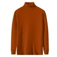 thumbnail image 1 of Fgnfyis Chandail Tricoté Extensible Ajusté pour Femmes, Chaud et Confortable, Couche de Base, Hauts en Tricot pour Femmes, Brun, TTG, 1 of 8