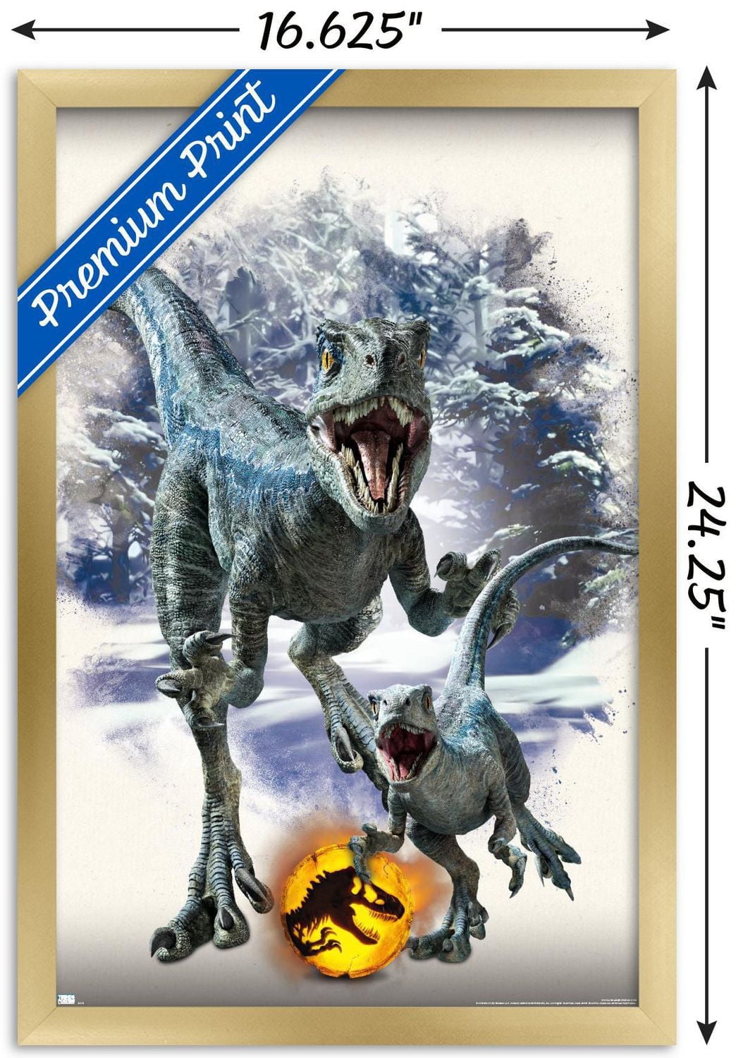 Jurassic World : Dominion - Blue et Beta Focal