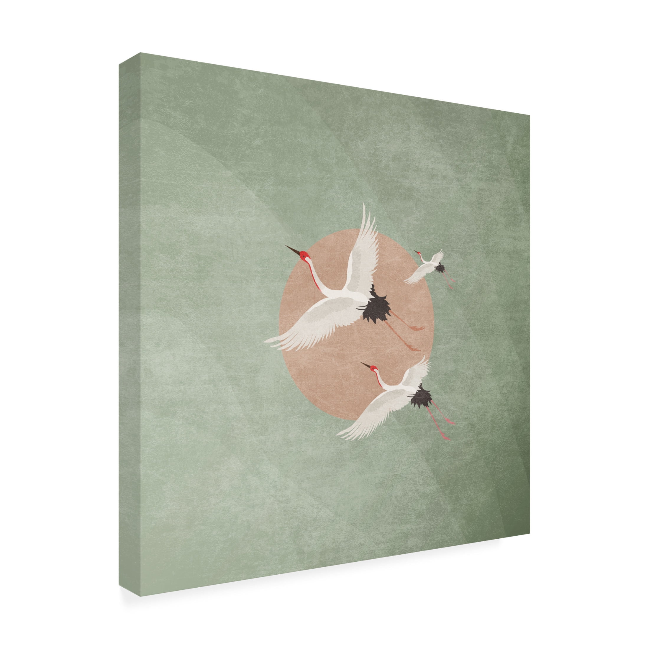 Trademark Fine Art Emel Tunaboylu  Turnalar Yosun Yesili Canvas Wall Art