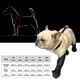 thumbnail image 3 of Zapatos para perros todo el año, impermeables, cubre patas de perro, zapatos impermeables, 3 of 9