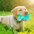 thumbnail image 2 of Cactus Dog Chew Toy Interactive Squeaky Toothbrush Stick for Puppy Cleaning and Aggressive Chewing, 2 of 4
