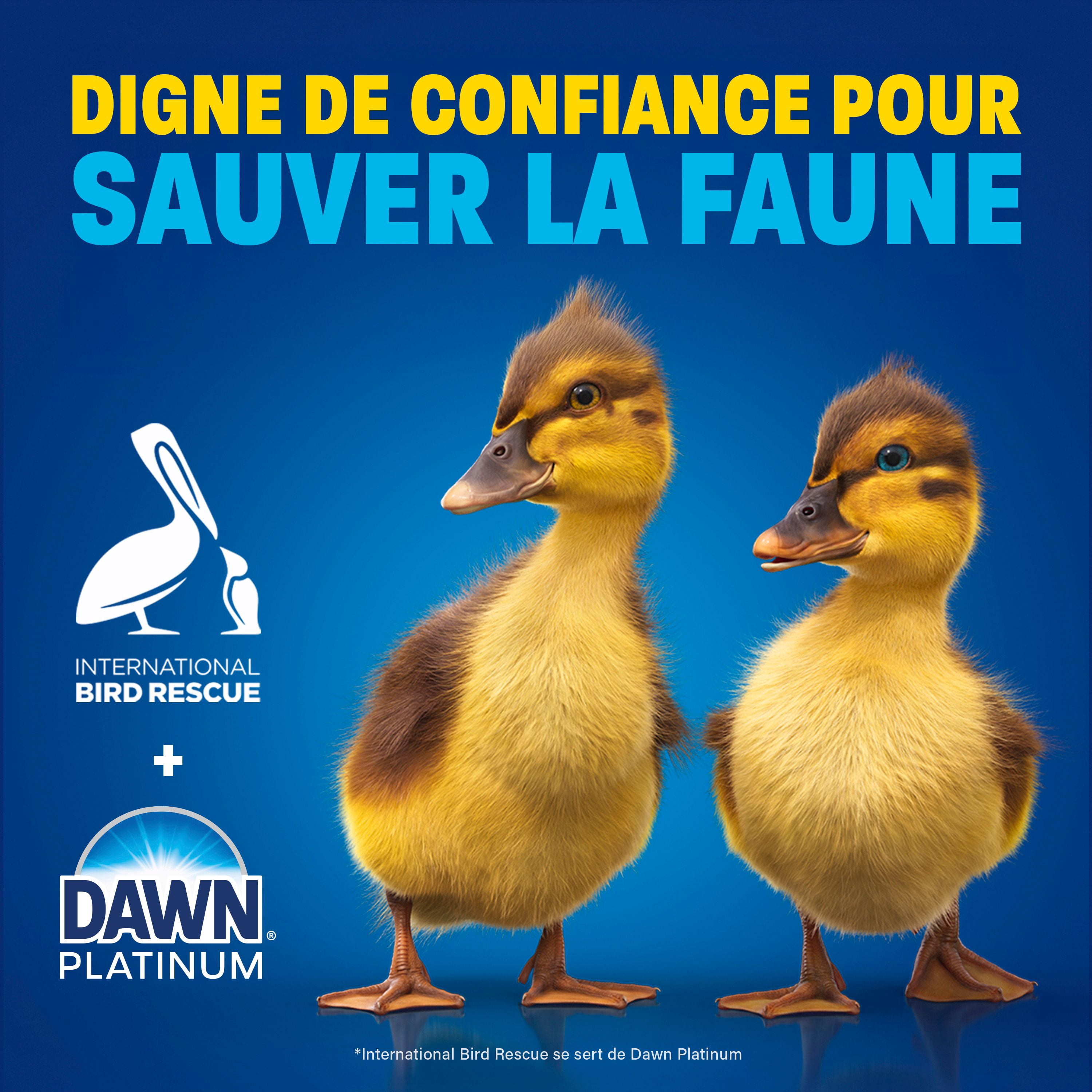 Savon à vaisselle Dawn Ultra, détergent à vaisselle liquide, parfum Fleurs de pommier