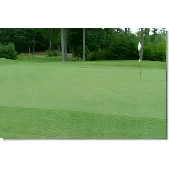 Pennington 13M Creeping Bentgrass Seed, 5 Lbs. - Shade Tolerant