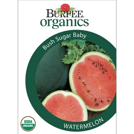 Burpee Organic Bush Sugar Baby Watermelon Vegetable Seed, 1-Pack