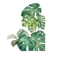 thumbnail image 5 of Green Tropical Jungle Leaves Wall Decals Palm Tree Leaf Plants Wall Stickers DIY Peel and Stick Removable Monstera murals Leaf Window Stickers for Kids Bedroom Nursery Living Room Decoration, 5 of 8