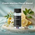 thumbnail image 3 of Scentia Coastal (Cabana) Hotel Scent Diffuser Oil – Luxury Fragrance Inspired by 5-Star Spa – 50 mL, 3 of 8