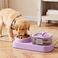 thumbnail image 3 of Cat Water Fountain with Food Bowl, Automatic Pet Water Dispenser with Large Capacity Cat Bowl Set _ #02 _ Purple _ A, 3 of 6
