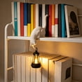thumbnail image 7 of Cat Bookshelf Lantern, Cat Figurine with LED Shelf Decor, Retro-Style Night Light, for Porches, Patios, and Bookshelves Cat Lovers Night Light Edge White, 7 of 7