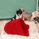 thumbnail image 1 of WEUVEB Calefactable Para Mascotas Roja Con Acolchonada Para Perros Y, 1 of 6