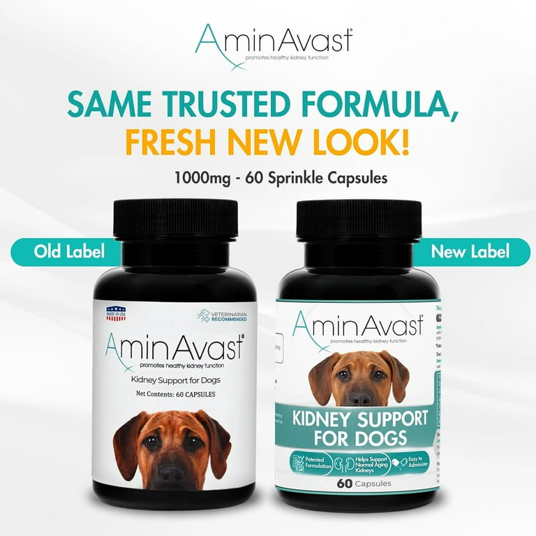 AminAvast Kidney Support Supplement for Cats and Dogs, 60 Capsules