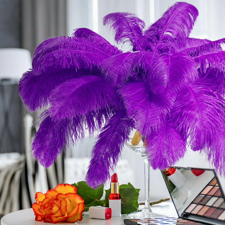 10pcs Large Purple Ostrich Feathers 16-18 inch Fluffy Feather for Crafts  Home Party Decoration Wedding Centerpieces Clothes Vase Decor