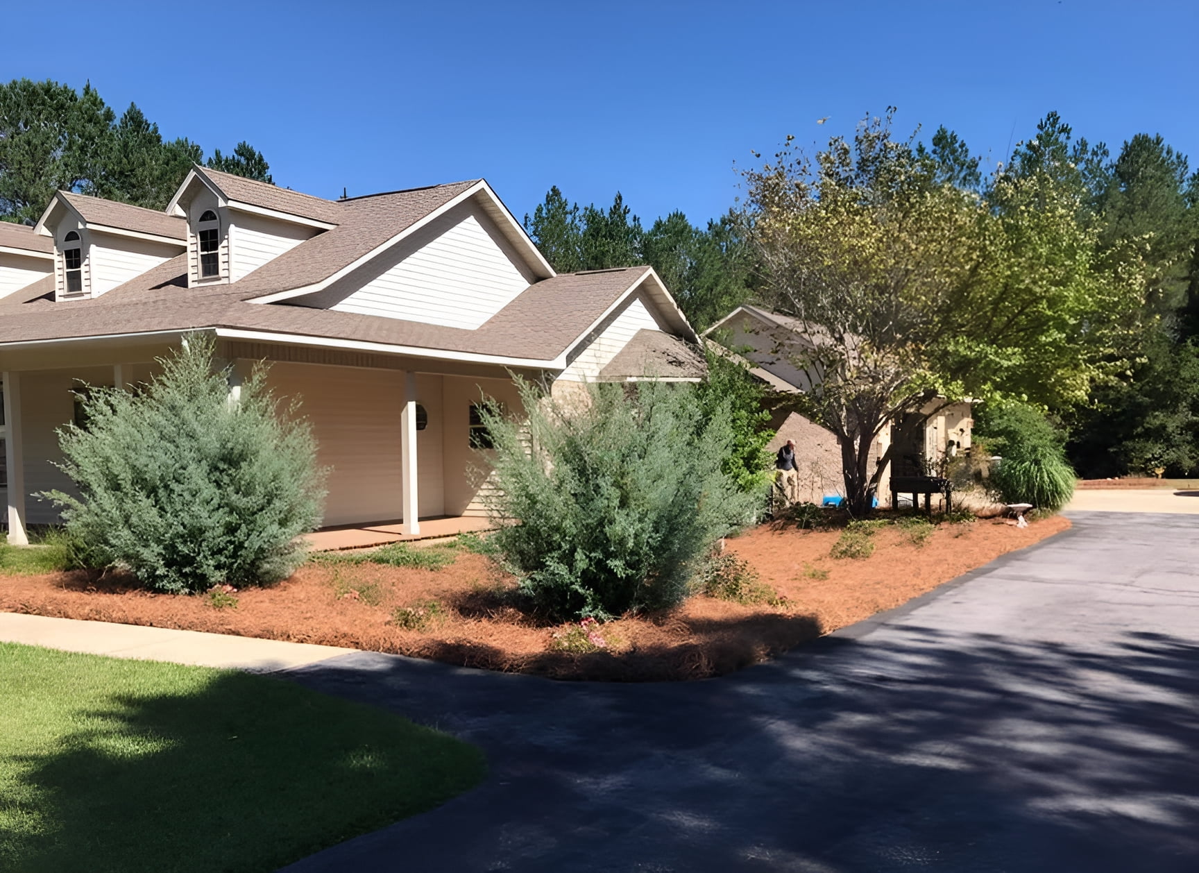 USA Pine Straw Mulch, Premium Long Needle Mulch, Natural Beauty Boost for Garden, Covers 3600 Sqft