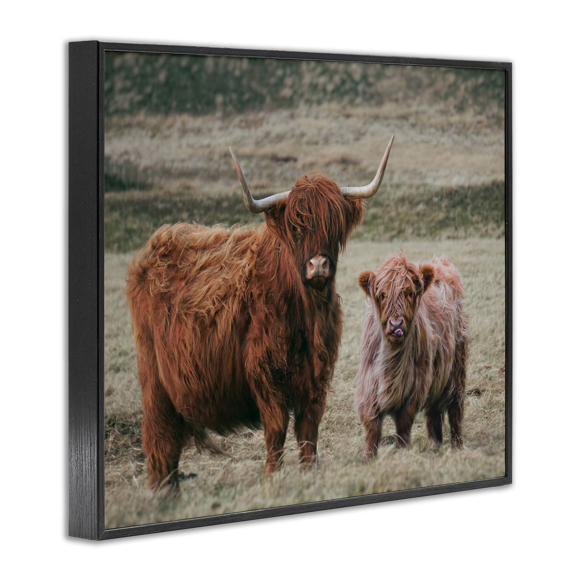 Mom & Baby Cow Black Framed Giclee Art, design by Lettered and Lined