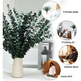 thumbnail image 6 of 30 Pcs Real Dried Eucalyptus Stems, 17" Natural Fresh Eucalyptus Branches for Shower, Greenery Leaves for Vase Filler, Fragrance, Fresh Silk Dry Live Plants Decor$$Home Decor, Kitchen, & Other, 6 of 7