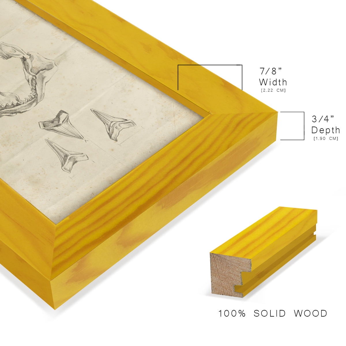Shark Study II - Framed Print w/glass - Sunflower Yellow