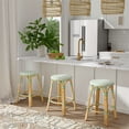 thumbnail image 4 of Butler Specialty Company Tobias Rattan Round 24" Counter Stool - White and Green, 4 of 6