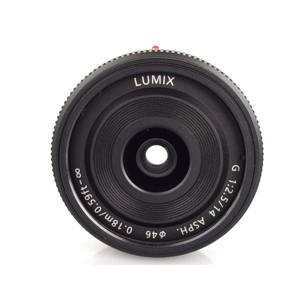Panasonic f/2.5 ASPH Lens (Silver) H-H014AE-S - White Box - Walmart.com