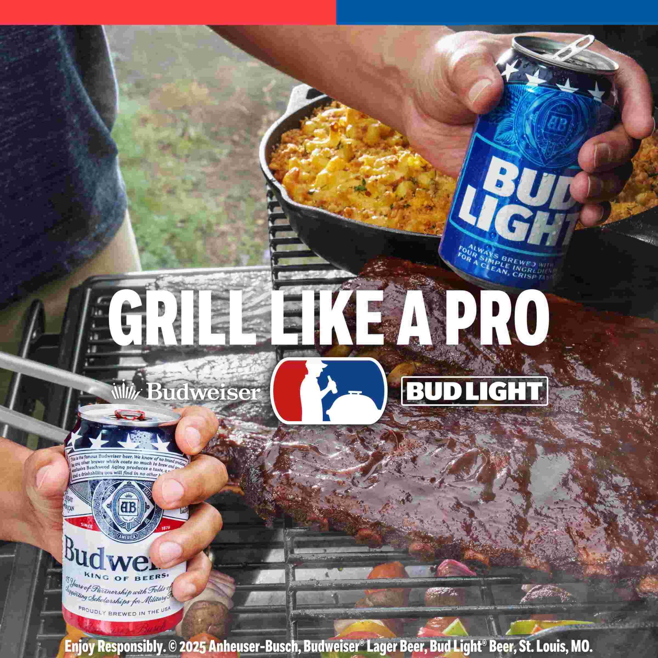 Budweiser - Brandclub - Budweiser American Lager Beer 6 Pack