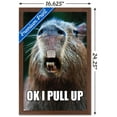 thumbnail image 3 of Capybara - Pull Up Wall Poster, 14.725" x 22.375" Framed, 3 of 5
