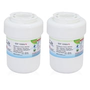 Swift Green Filters SGF -123304 Rx Pharmaceutical Replacement for Amana 1252704 Refrigerators Water Filters(Pack of 2)