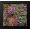 thumbnail image 2 of Fitzharris, Tim 16x15 Black Modern Framed Museum Art Print Titled - Rhododendron in bloom, 2 of 5