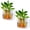 Transparent, variant on Wall Fish Tank, 2Pcs Wall Plastic Vase, Mini Wall Mounted Fish Tank, Wall Hydroponic Plants, Hanging Hydroponic Plant Pot, Living Room Decoration(2Pcs)