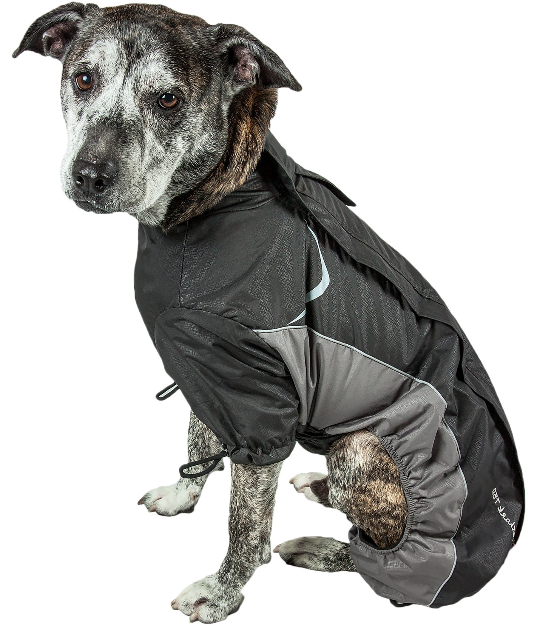 blizzard dog coat