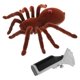 thumbnail image 1 of araña de juguete realista, broma, juguete eléctrico para niños, sin pilas, 1 of 7